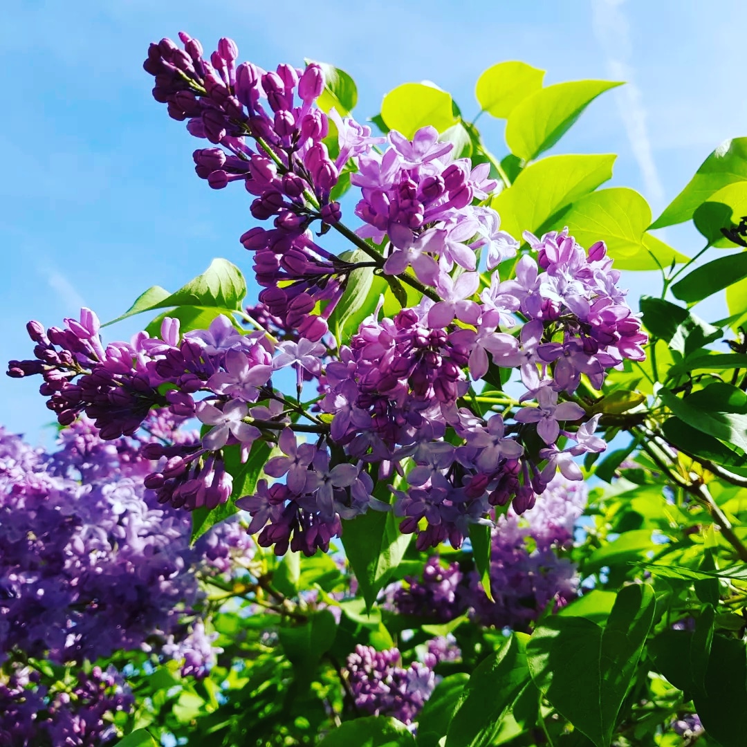 Nu är det semester vi är tillbaka igen v. 31